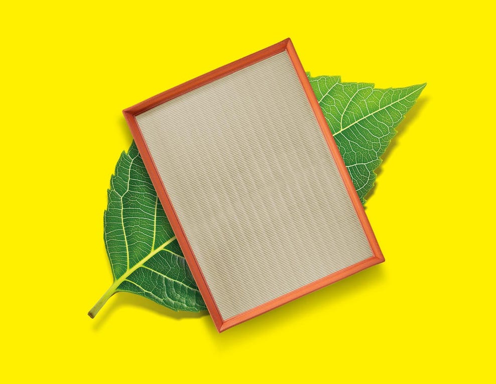 MANN-FILTER go green visual leaf