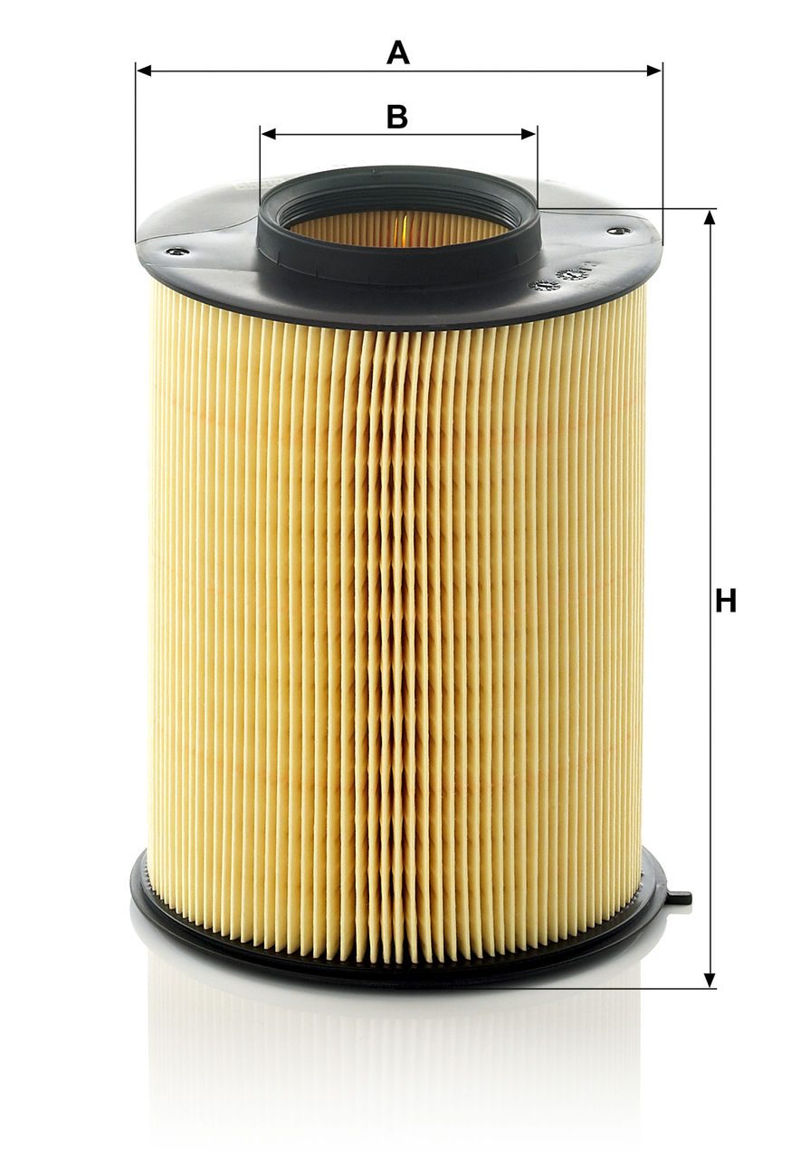 Product Image C16134/1_MANN-FILTER