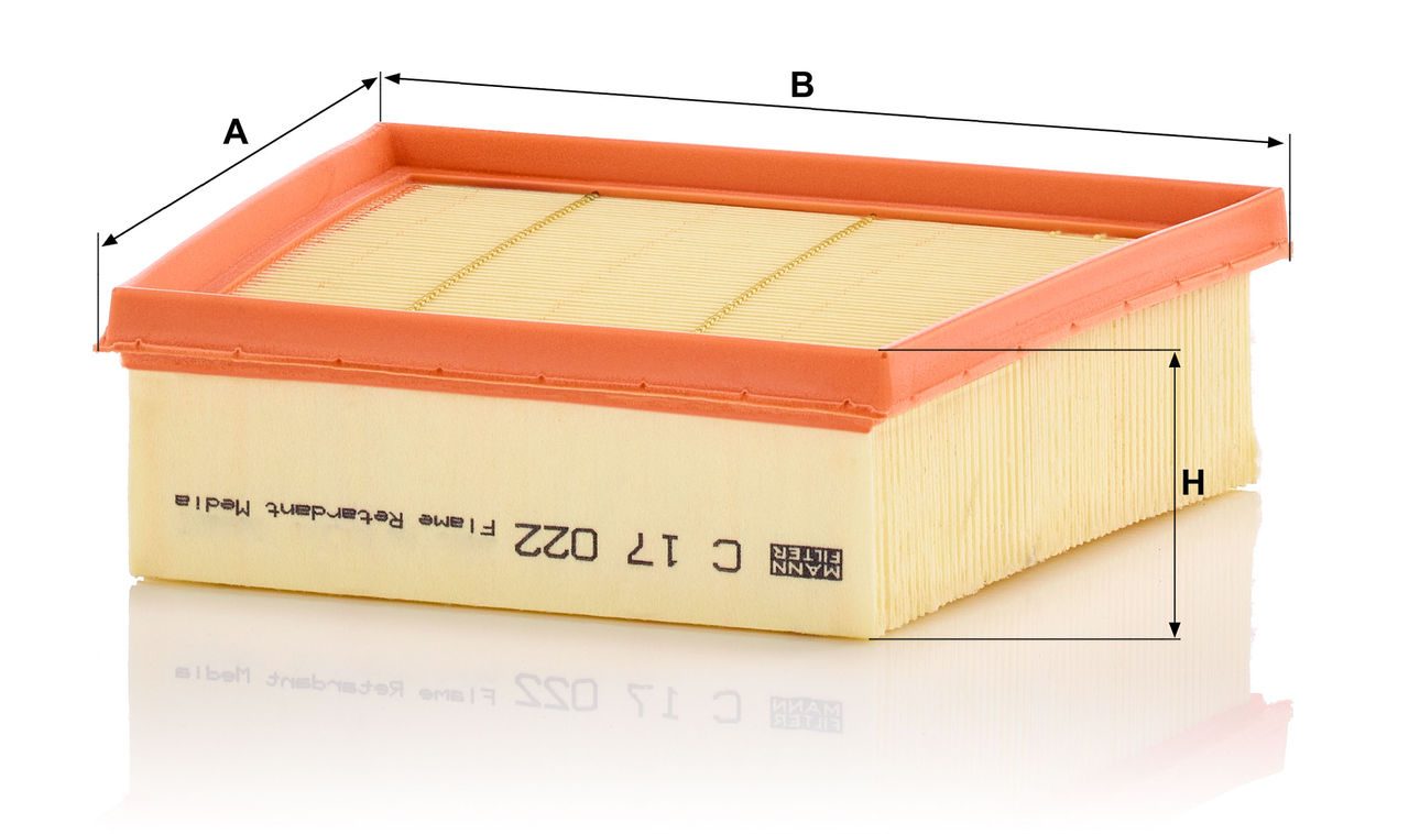 Product Image C17022_MANN-FILTER
