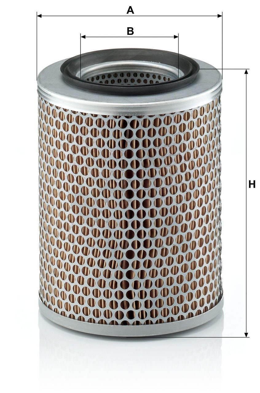 Product Image C17134_MANN-FILTER