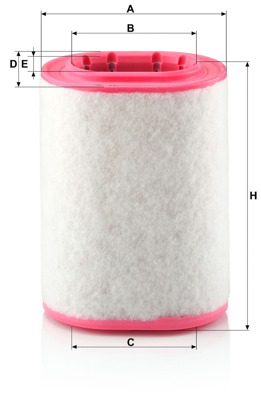 Product Image C18161_MANN-FILTER