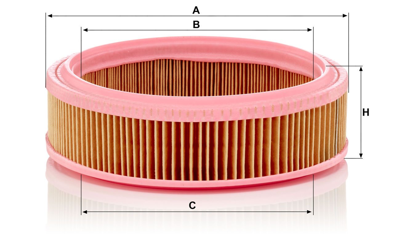 Product Image C2021_MANN-FILTER