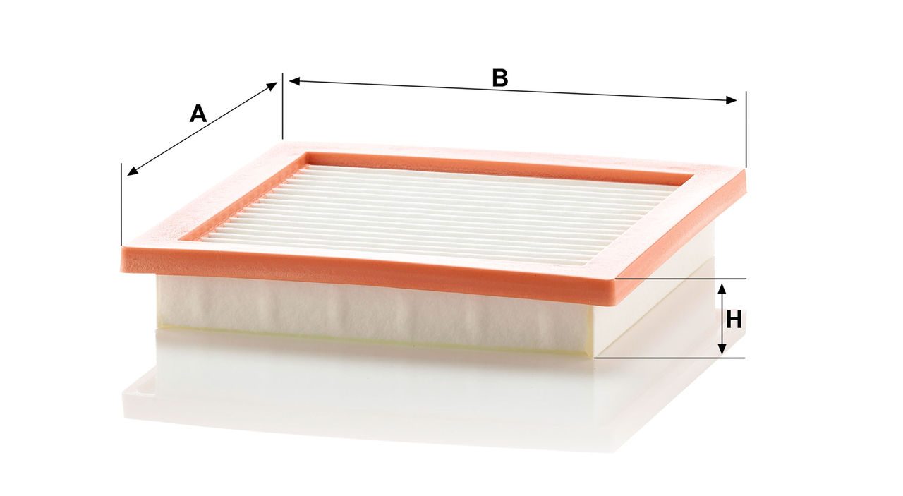 Product Image C20029_MANN-FILTER
