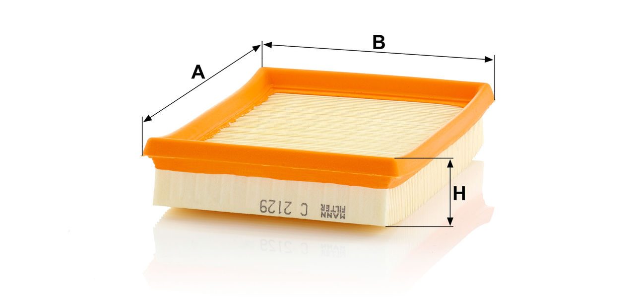 Product Image C2129_MANN-FILTER
