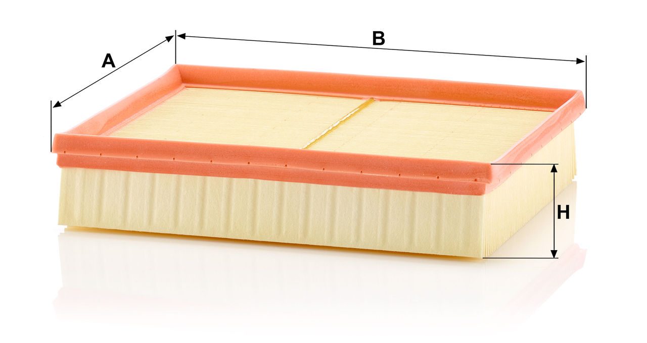 Product Image C21001_MANN-FILTER