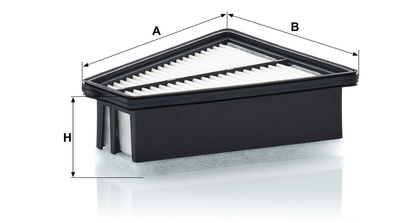 Product Image C21025_MANN-FILTER