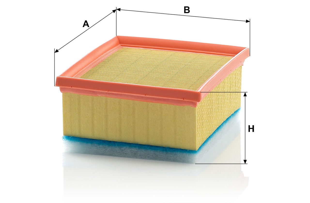 Product Image C21116/1_MANN-FILTER