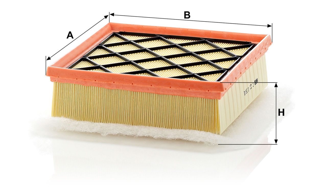 Product Image C21136/1_MANN-FILTER