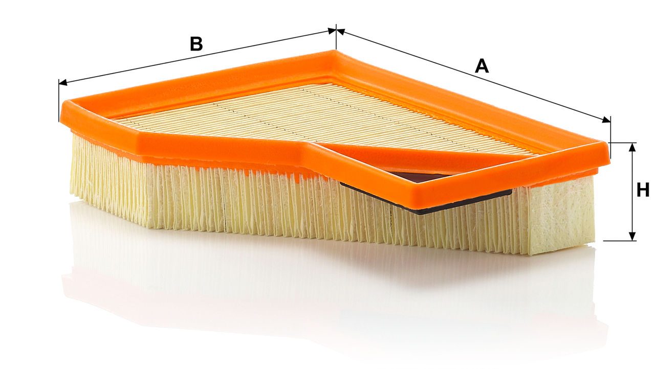 Product Image C2245_MANN-FILTER