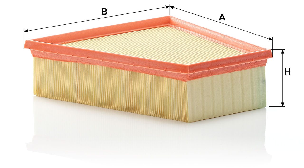 Product Image C2295/3_MANN-FILTER