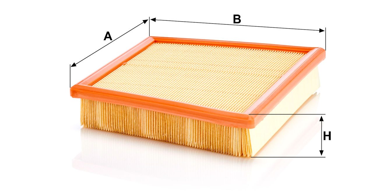 Product Image C22017_MANN-FILTER