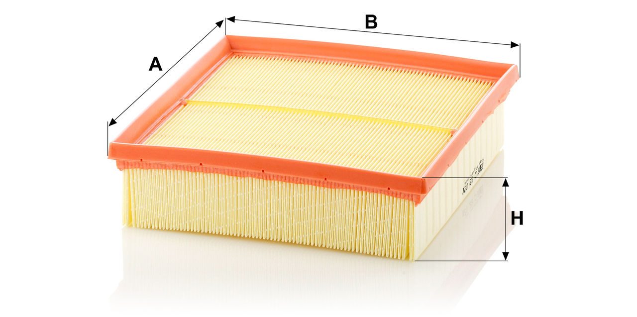Product Image C22020_MANN-FILTER