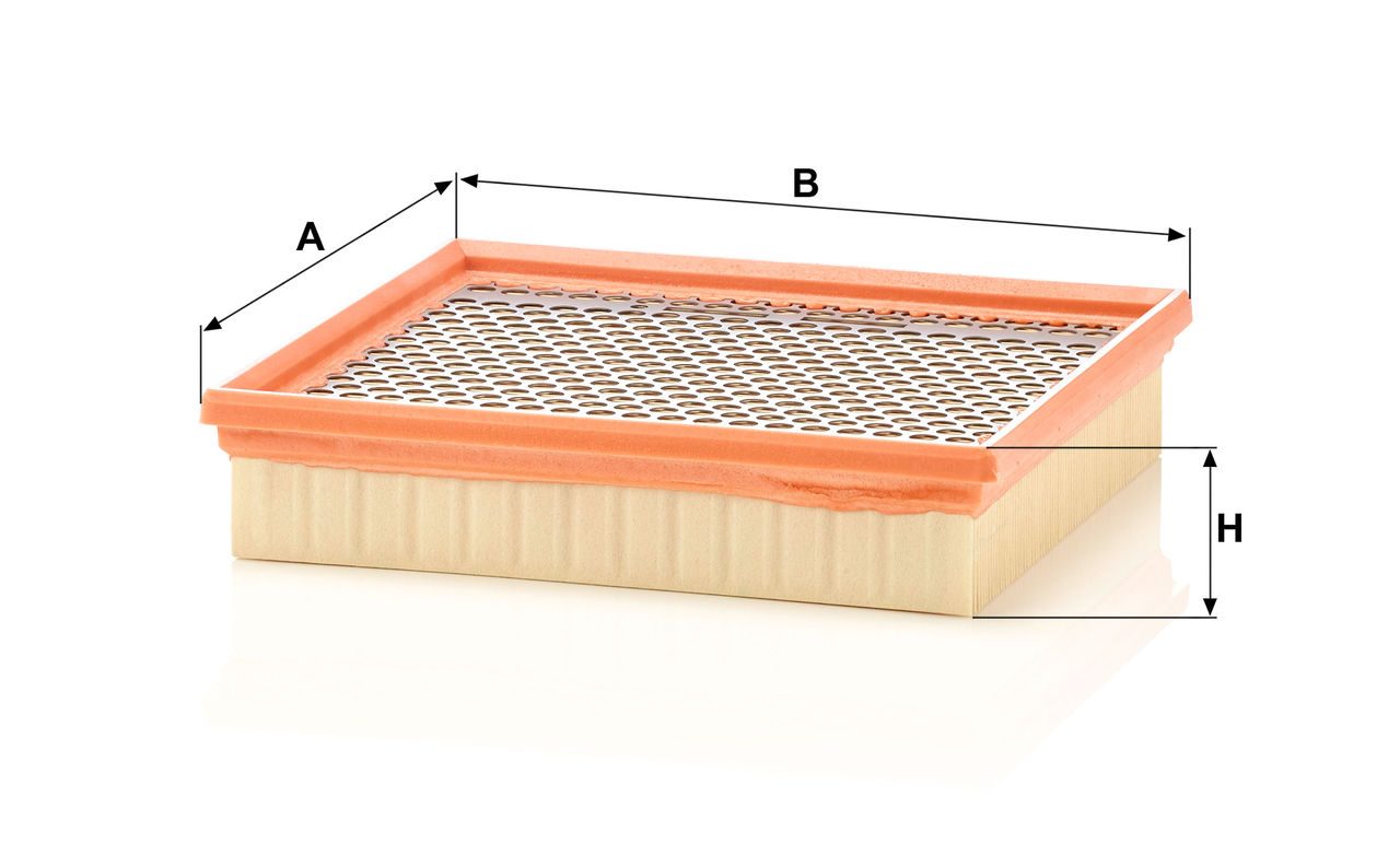 Product Image C22029_MANN-FILTER