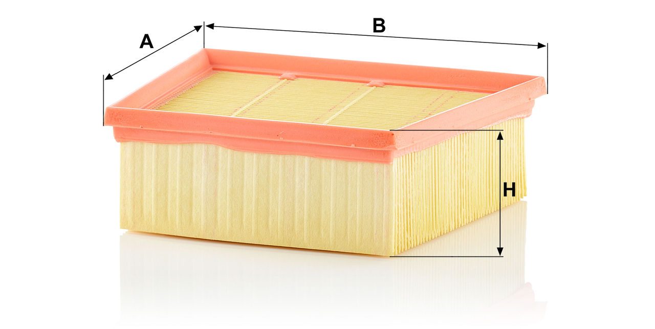 Product Image C22031_MANN-FILTER