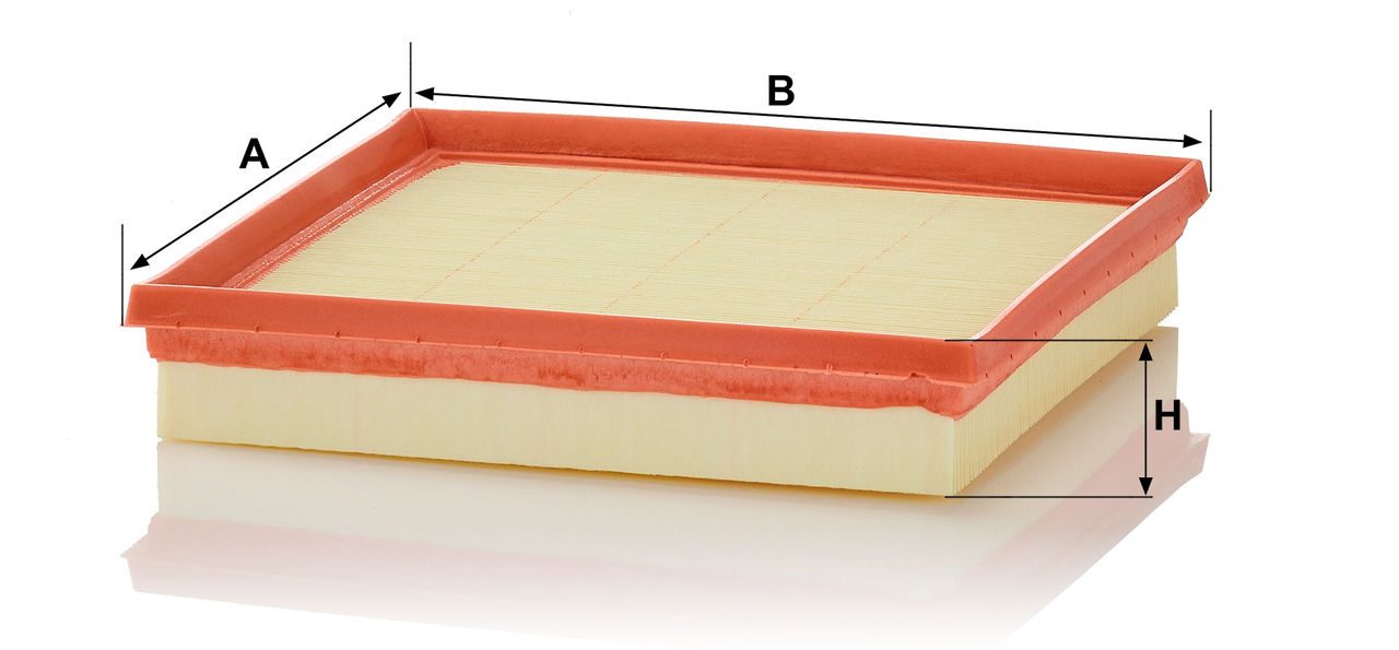 Product Image C22038_MANN-FILTER