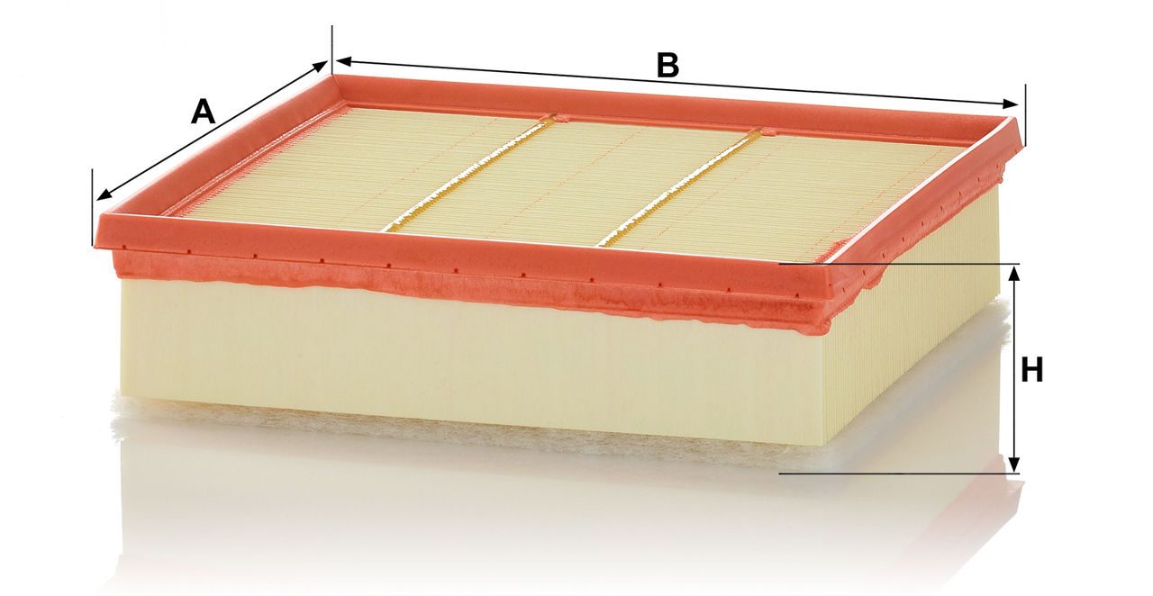 Product Image C22039_MANN-FILTER