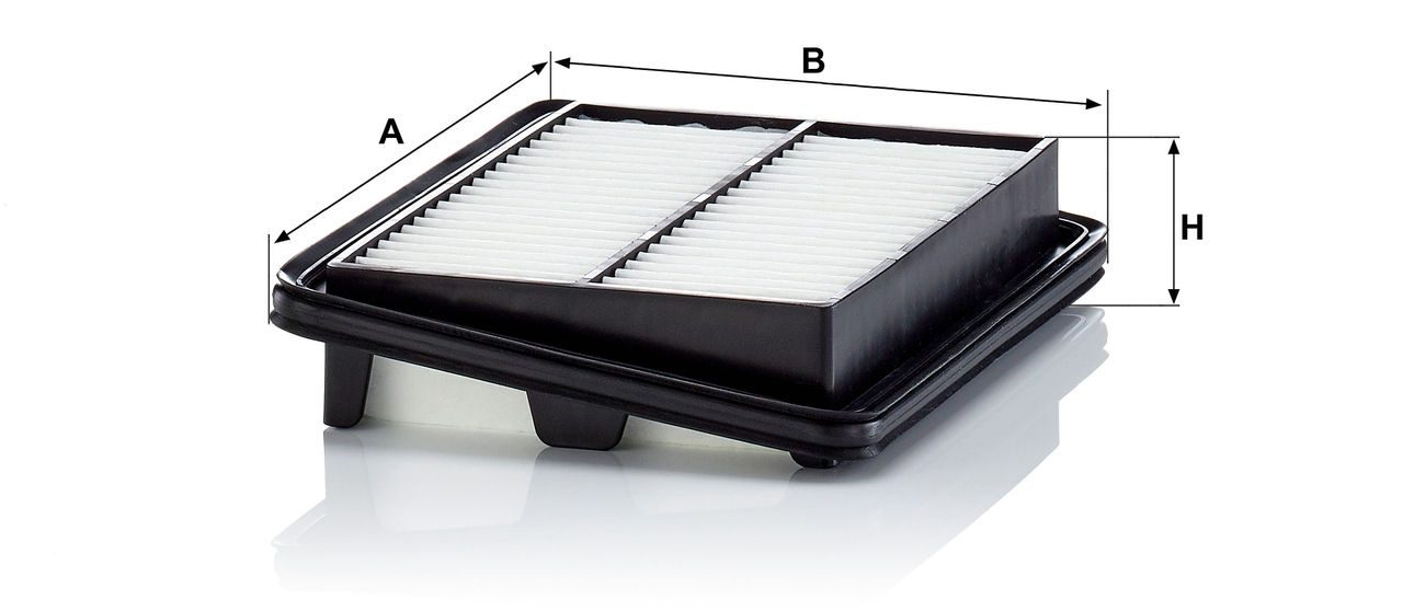 Product Image C22060_MANN-FILTER