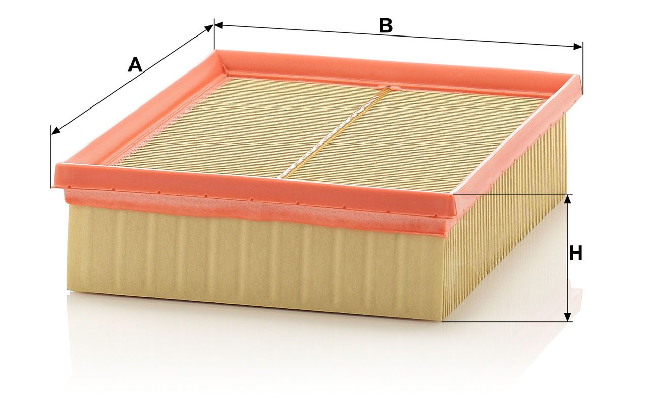 Product Image C22120_MANN-FILTER