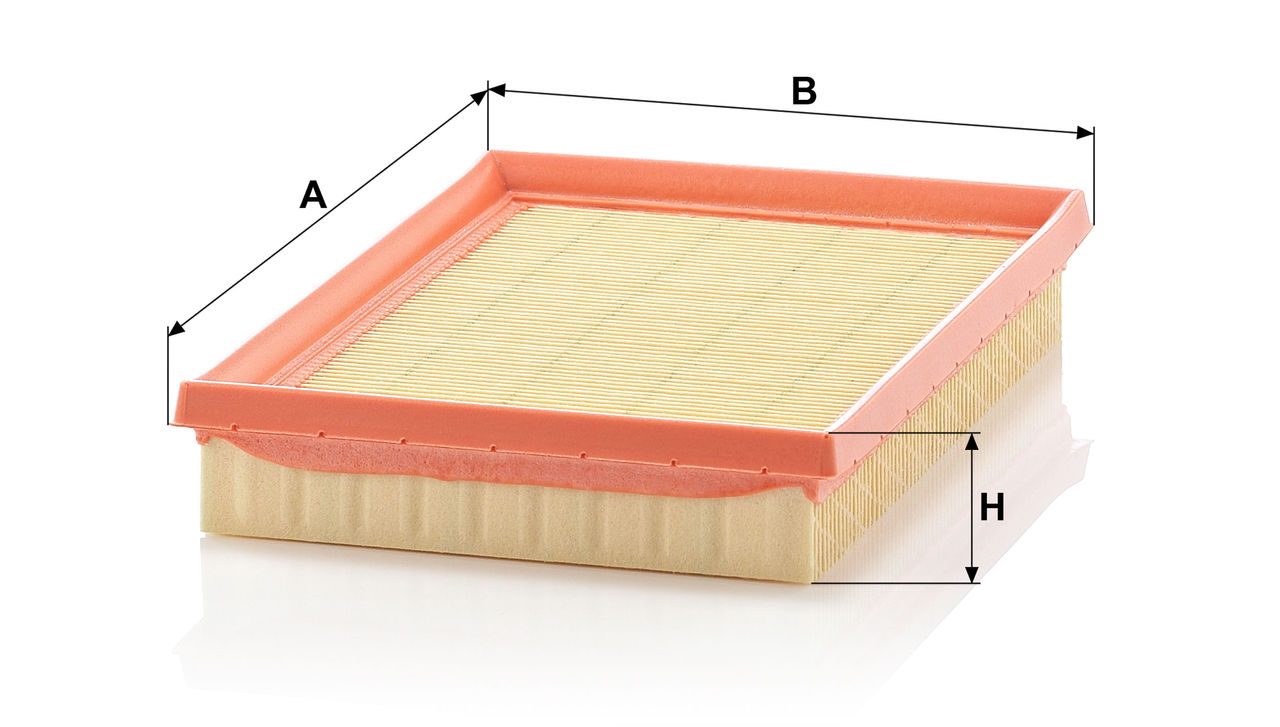 Product Image C2345/1_MANN-FILTER
