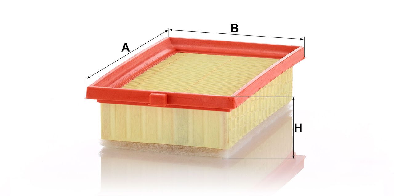 Product Image C23013_MANN-FILTER