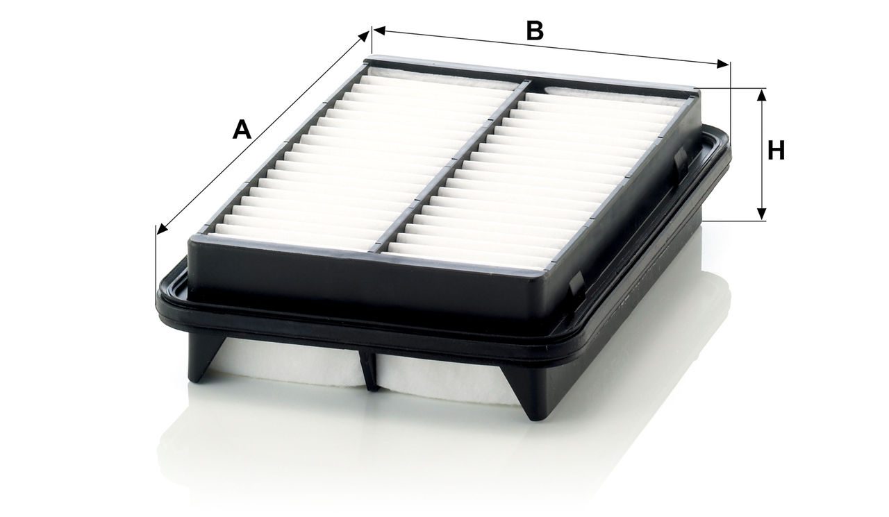 Product Image C2432_MANN-FILTER