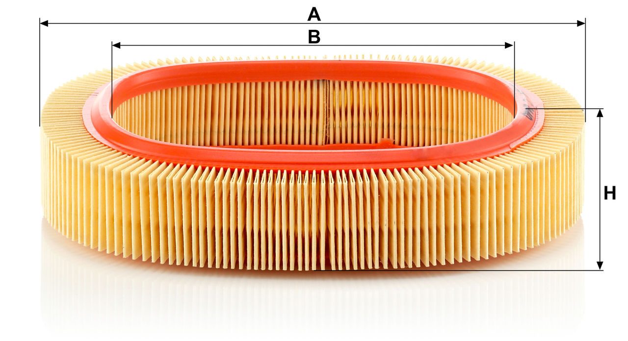 Product Image C2440_MANN-FILTER