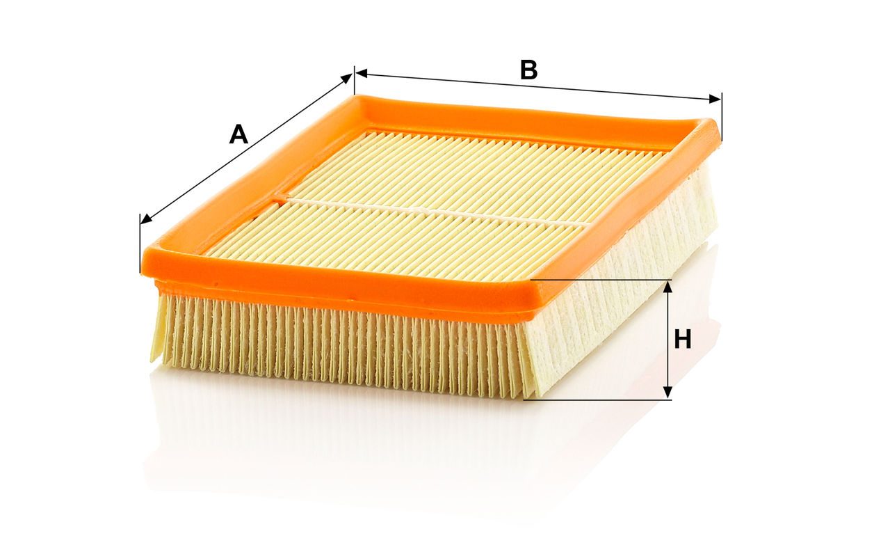 Product Image C2448_MANN-FILTER
