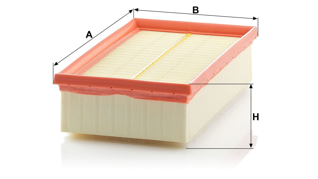 Product Image C2485/1_MANN-FILTER