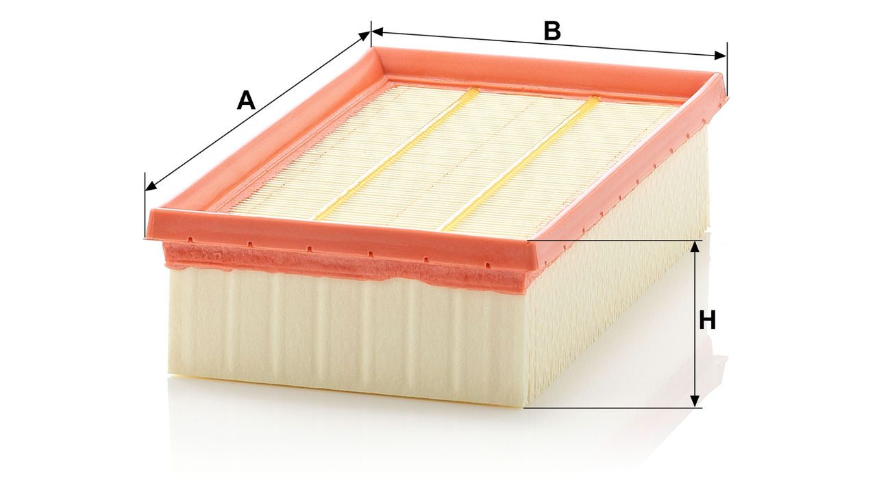 Product Image C2485/2_MANN-FILTER