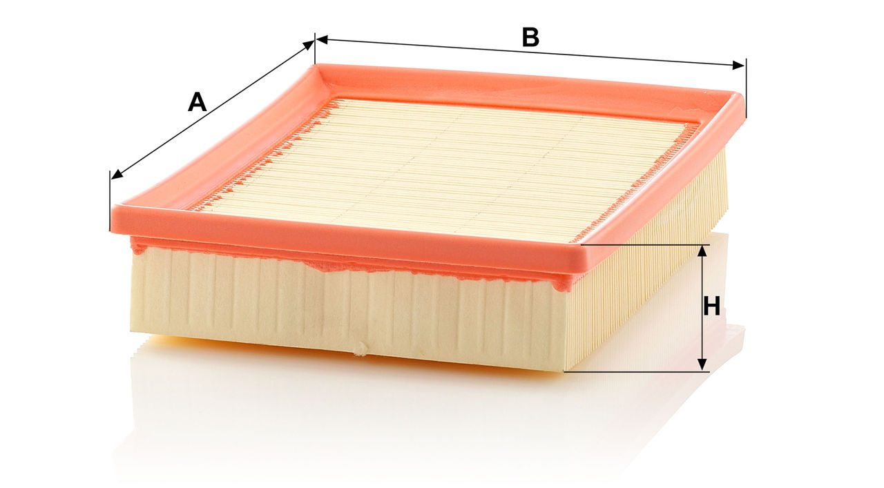 Product Image C2490_MANN-FILTER