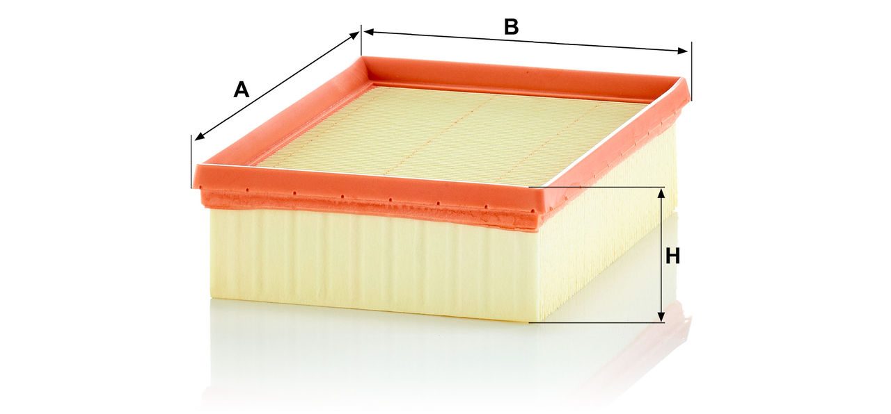 Product Image C24012/1_MANN-FILTER