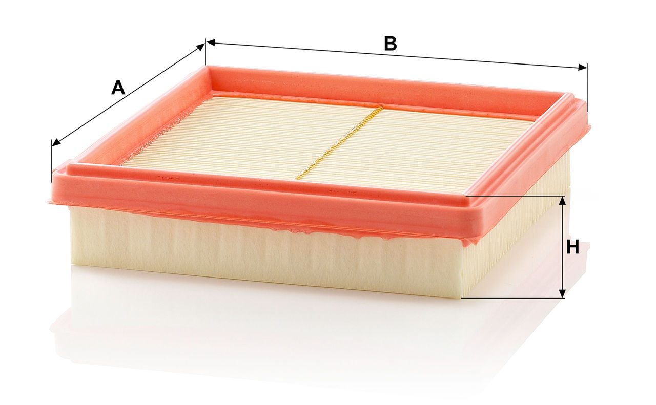 Product Image C24113_MANN-FILTER