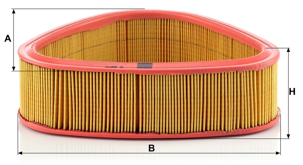 Product Image C2541_MANN-FILTER