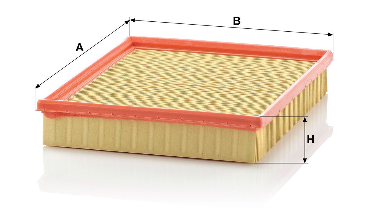 Product Image C2598_MANN-FILTER