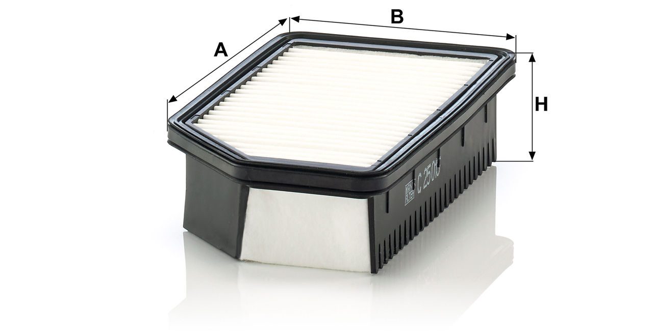 Product Image C25013_MANN-FILTER