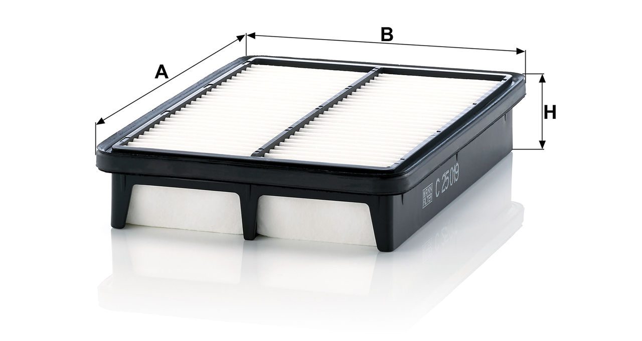 Product Image C25019_MANN-FILTER