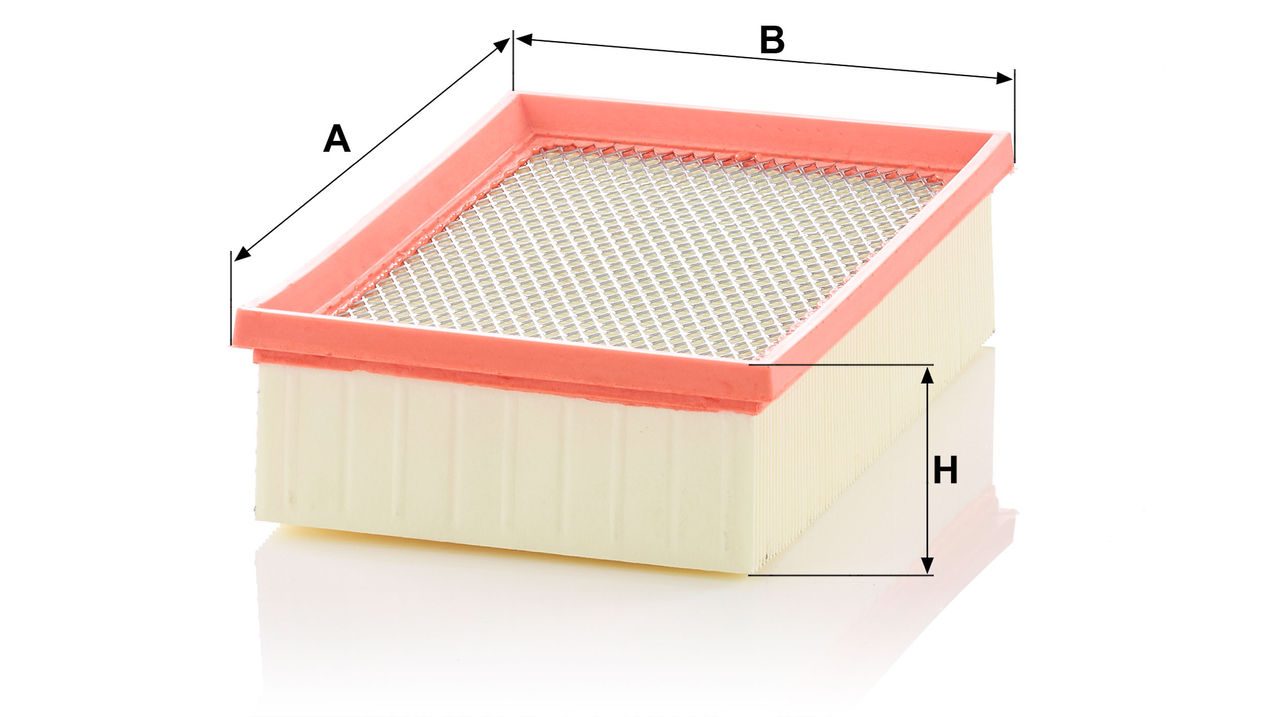 Product Image C25021_MANN-FILTER