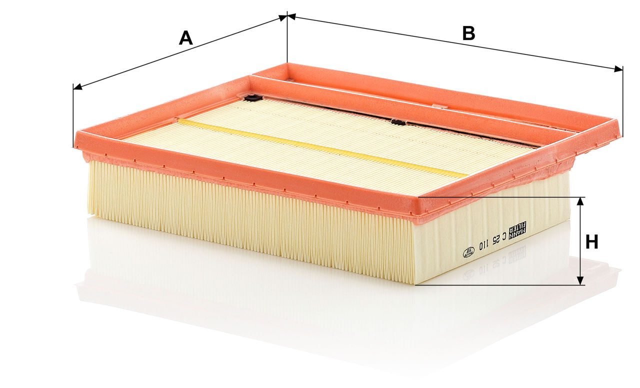 Product Image C25110-2_MANN-FILTER