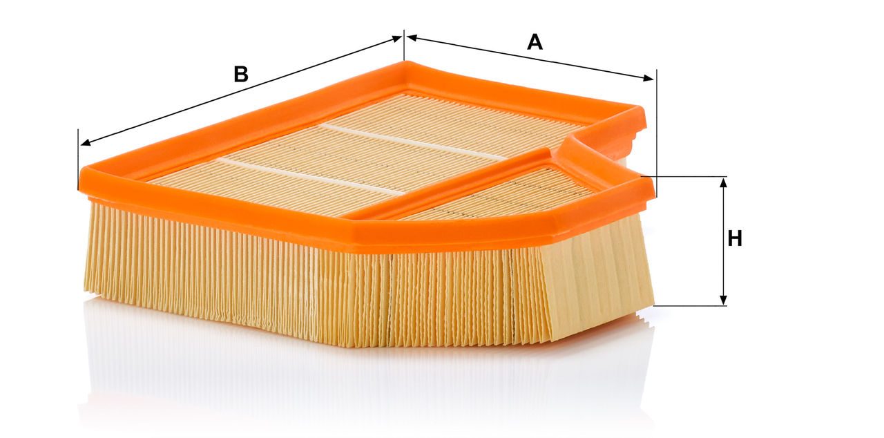 Product Image C25111_MANN-FILTER