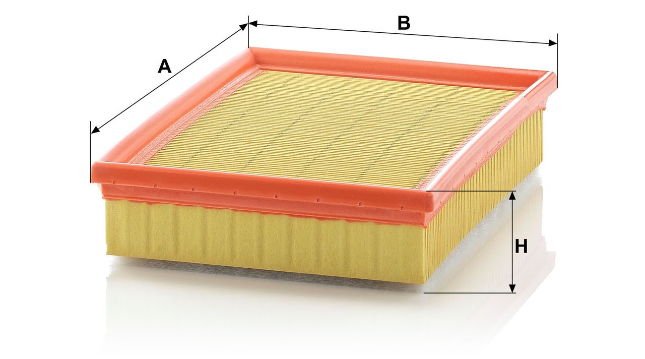 Product Image C25114/1_MANN-FILTER