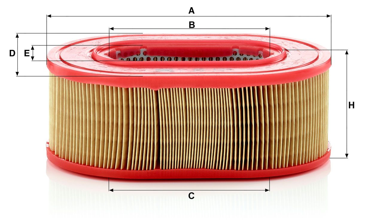 Product Image C25124_MANN-FILTER