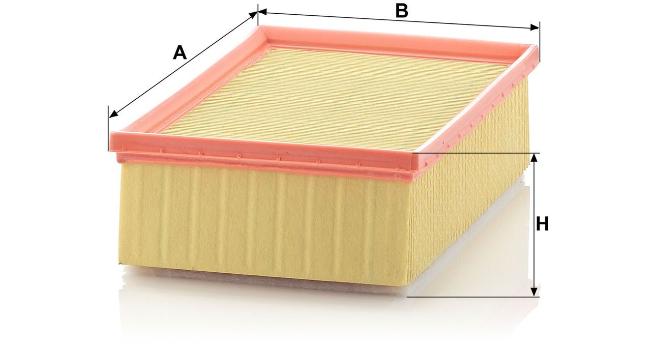 Product Image C25136_MANN-FILTER