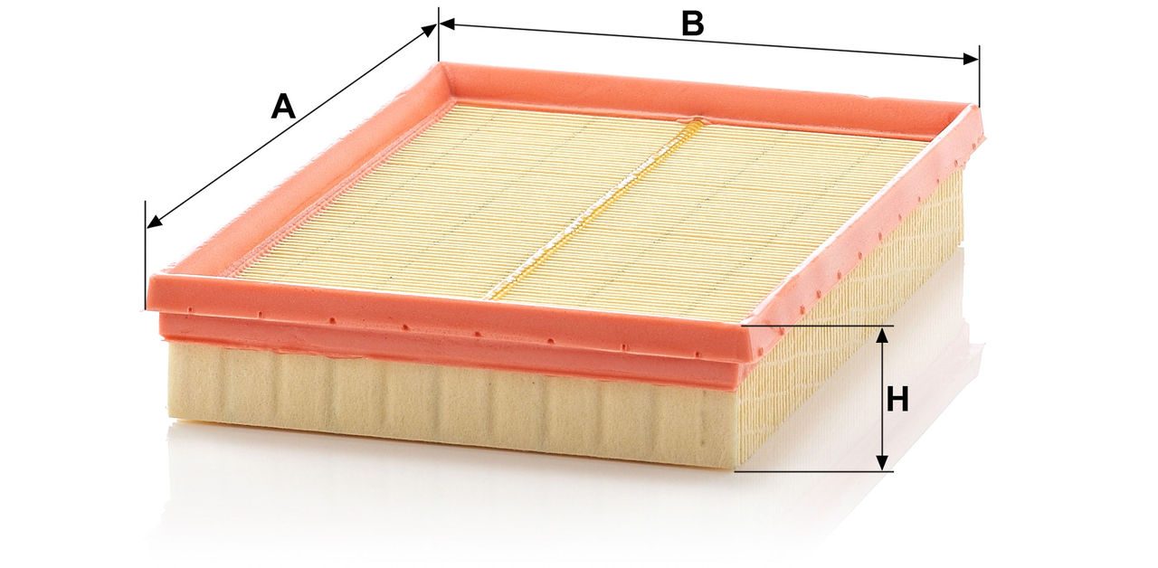 Product Image C2667/1_MANN-FILTER
