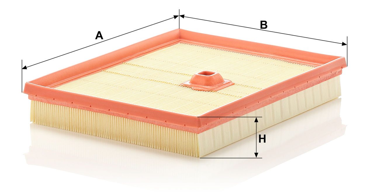 Product Image C2695/2_MANN-FILTER
