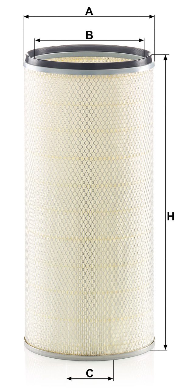 Product Image C26031X_MANN-FILTER