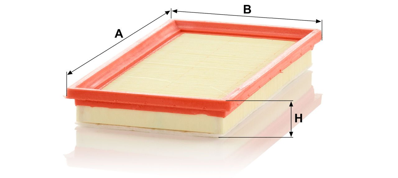 Product Image C28013_MANN-FILTER