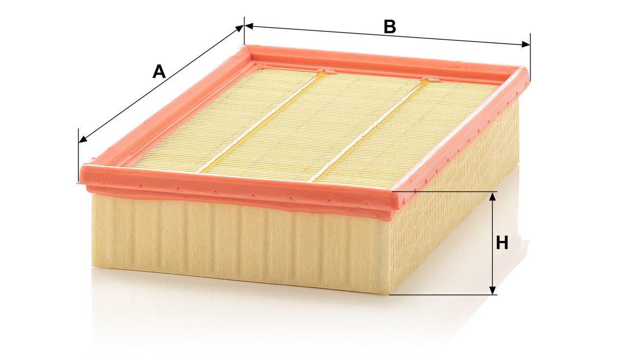 Product Image C28100_MANN-FILTER