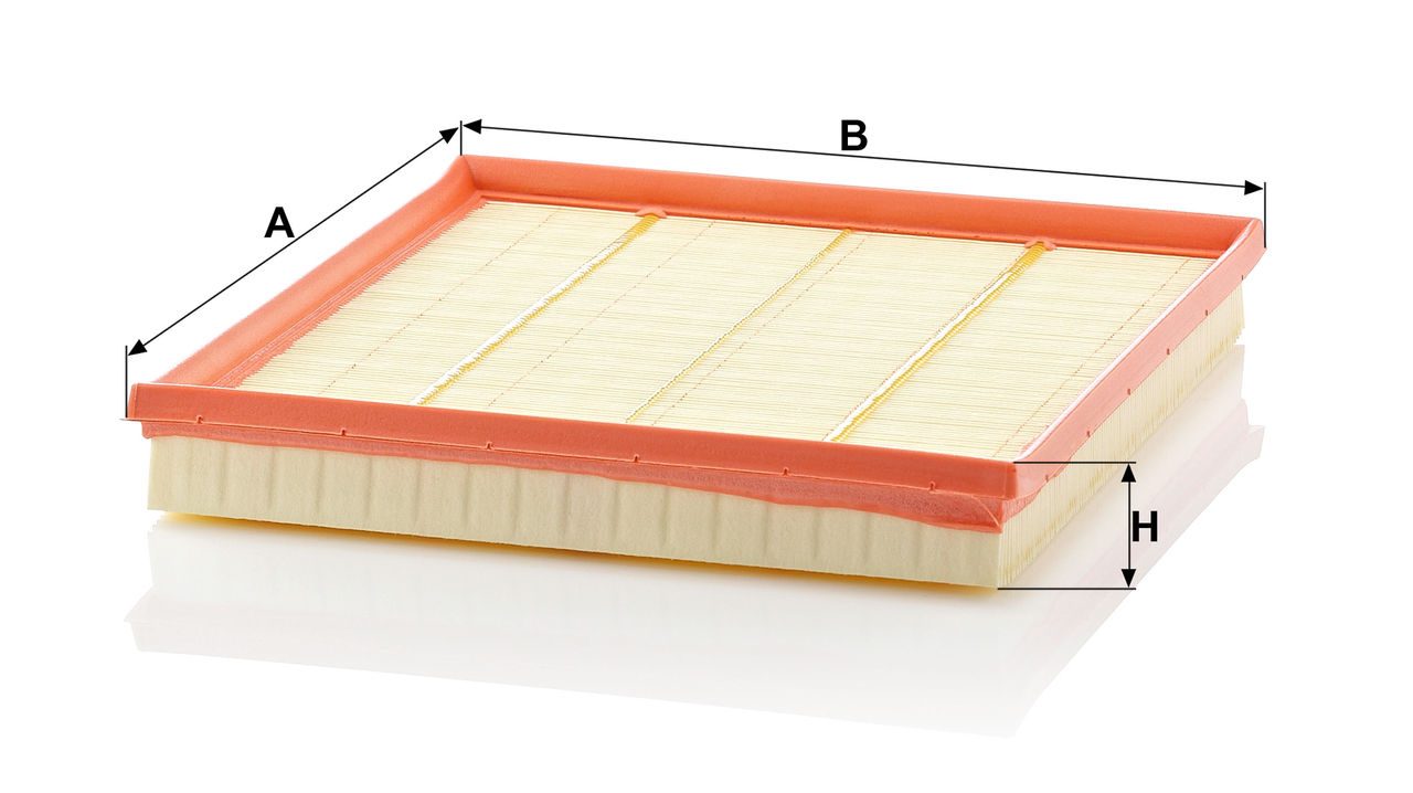 Product Image C28125_MANN-FILTER