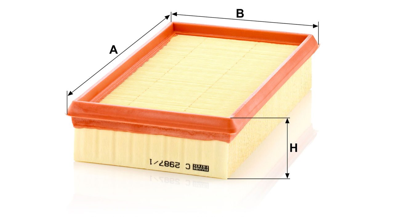 Product Image C2987/1_MANN-FILTER