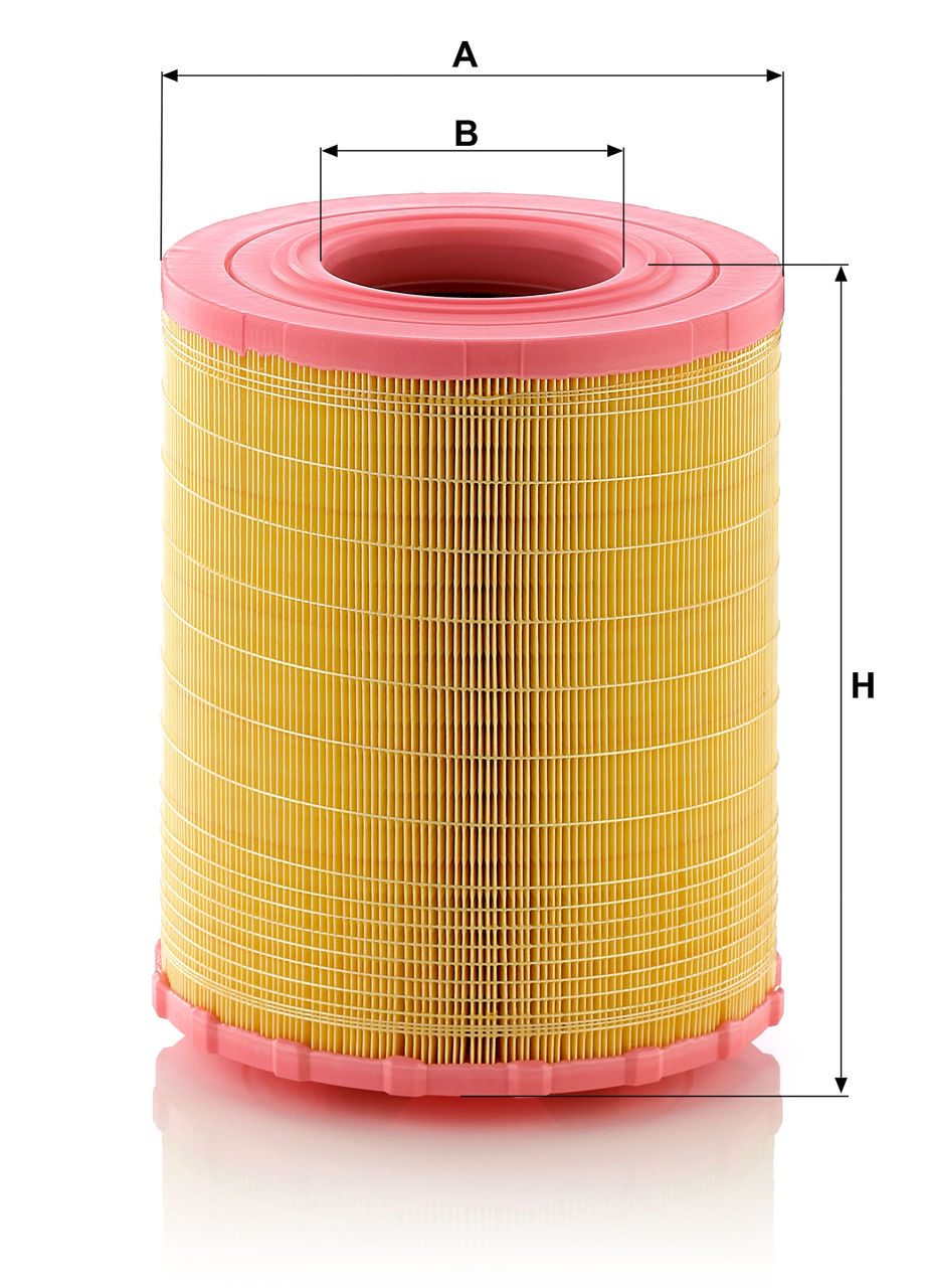 Product Image C29010_MANN-FILTER